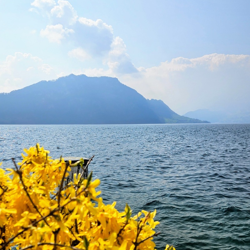 Produktbild_Weggis_800x800